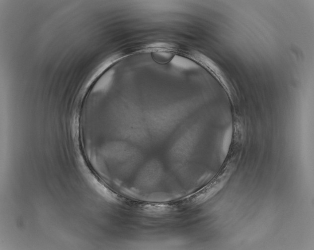 X0000111210859200907221150