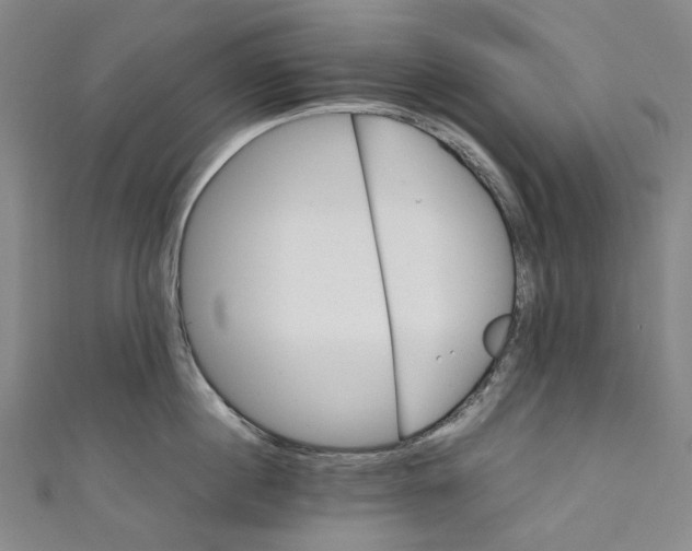 X0000111210860200907221150