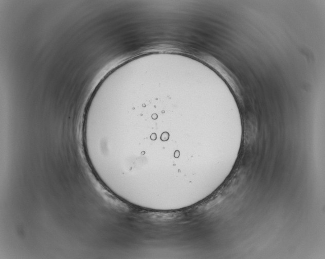 X0000111210861200907221150