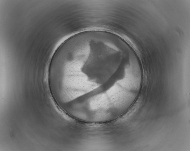 X0000111210862200907221150