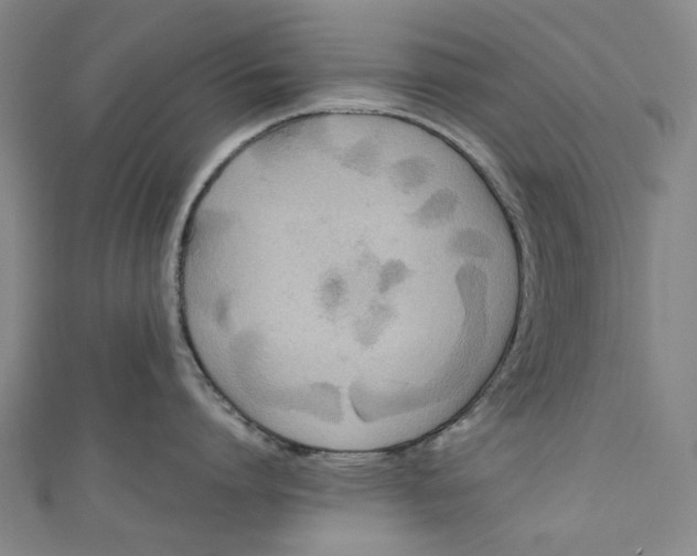 X0000111210864200907221150