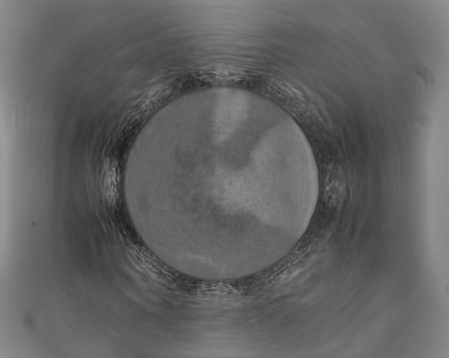 X0000111210866200907221149