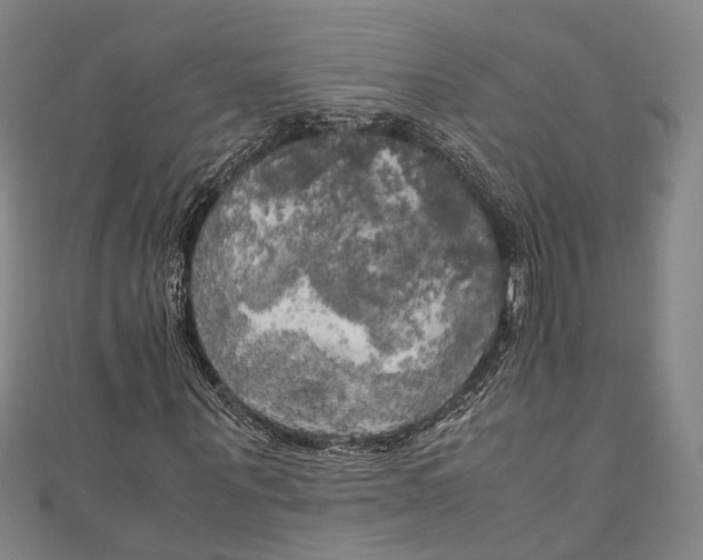 X0000111210867200907221149