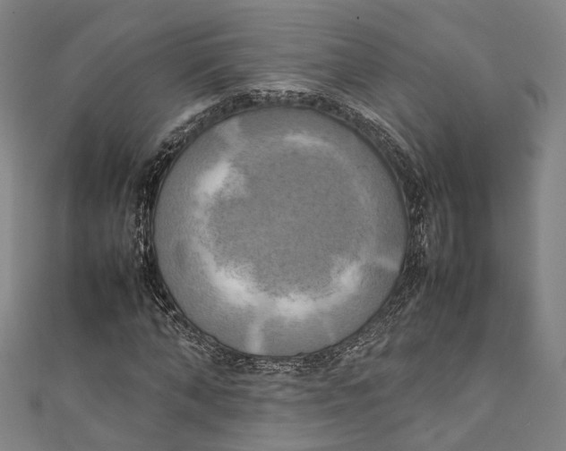 X0000111210870200907221149