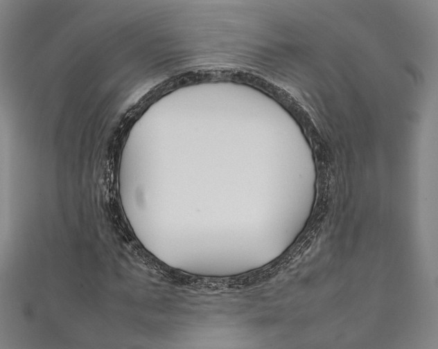 X0000111210871200907221149