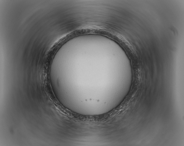 X0000111210872200907221149