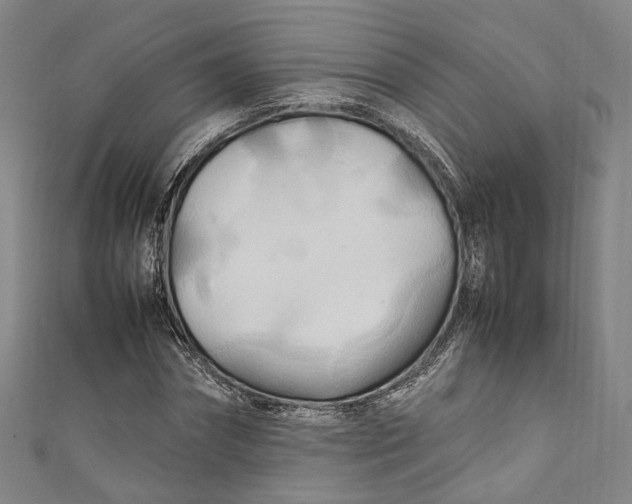 X0000111210874200907221149