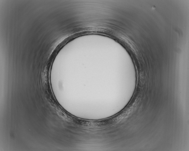 X0000111210875200907221149