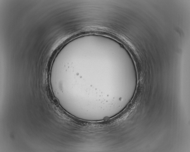 X0000111210877200907221149