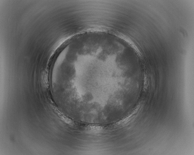 X0000111210878200907221149