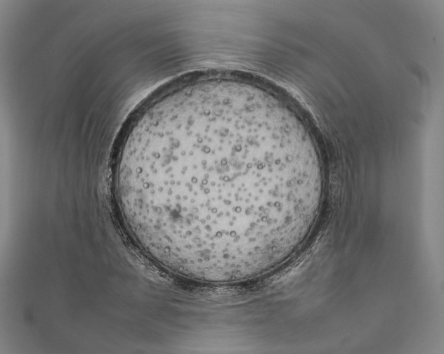 X0000111210879200907221149