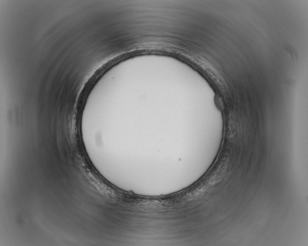 X0000111210880200907221149