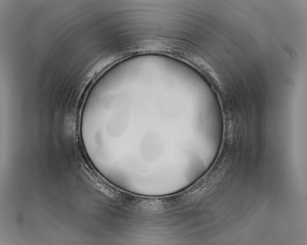 X0000111210882200907221149