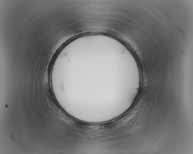 X0000111210883200907221149