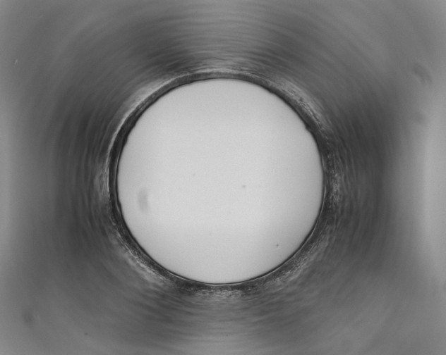 X0000111210884200907221149