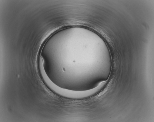 X0000111210885200907221149