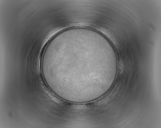 X0000111210886200907221149