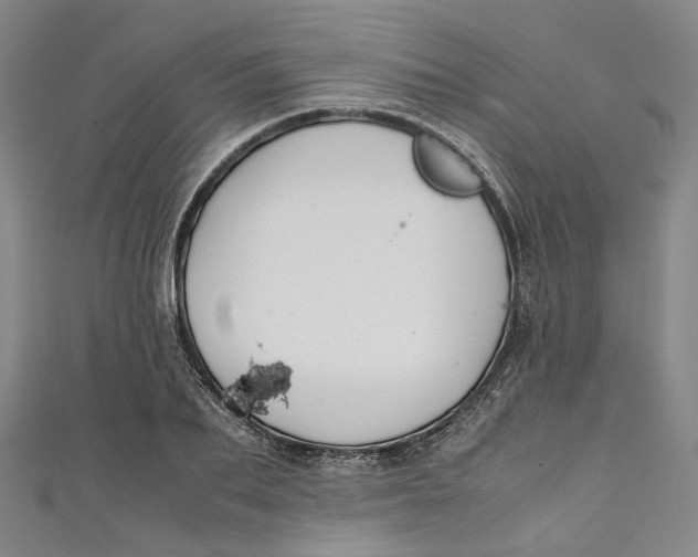 X0000111210887200907221149