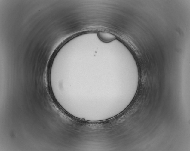 X0000111210888200907221149