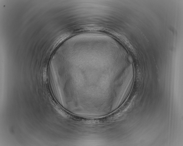 X0000111210889200907221149