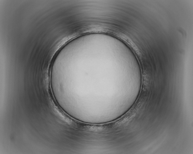 X0000111210890200907221149