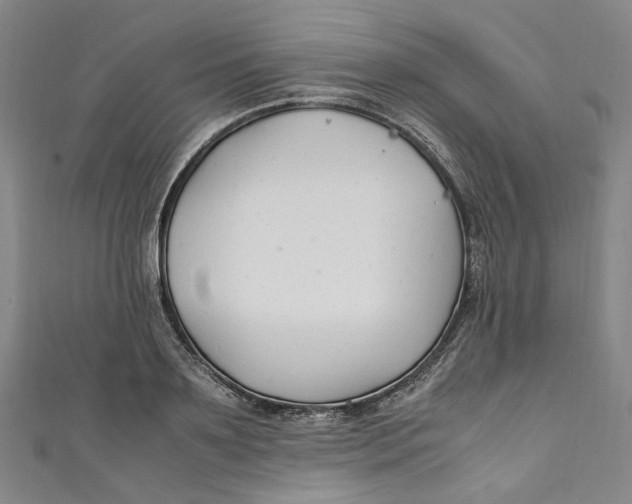 X0000111210891200907221149