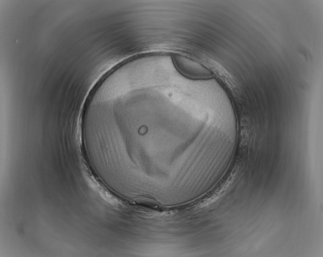 X0000111210892200907221149