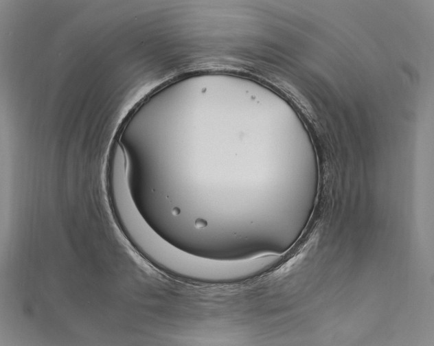 X0000111210893200907221149