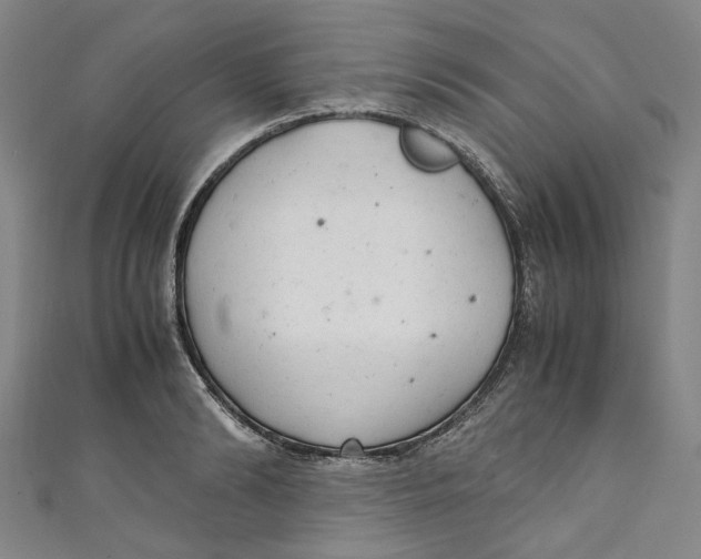 X0000111210894200907221149