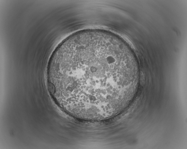 X0000111210895200907221149