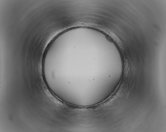 X0000111210896200907221149