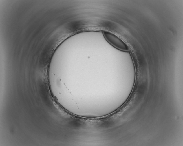 X0000111210897200907221149