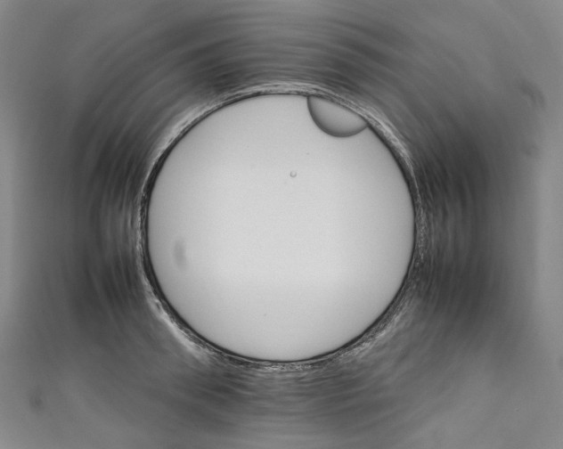 X0000111210898200907221149