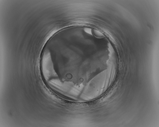 X0000111210899200907221149