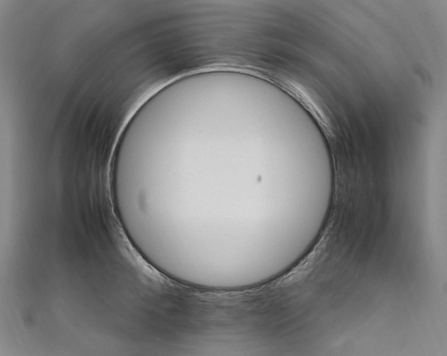 X0000111210900200907221149