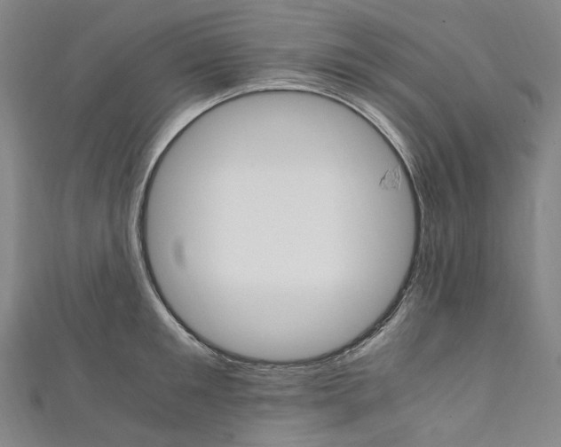 X0000111210901200907221149