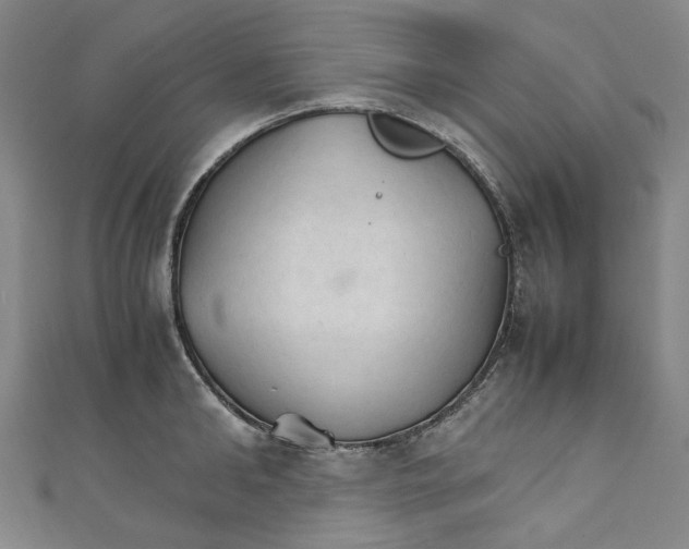 X0000111210902200907221149