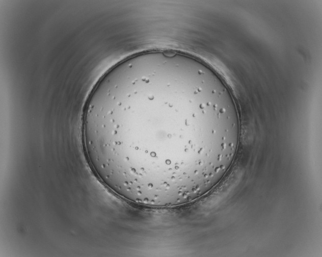 X0000111210903200907221149