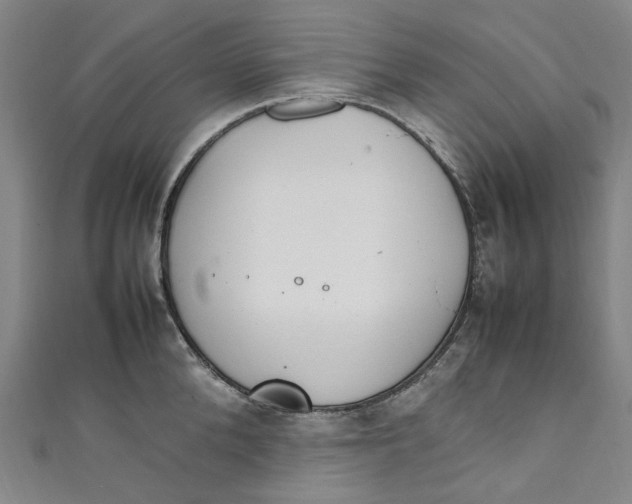 X0000111210904200907221149