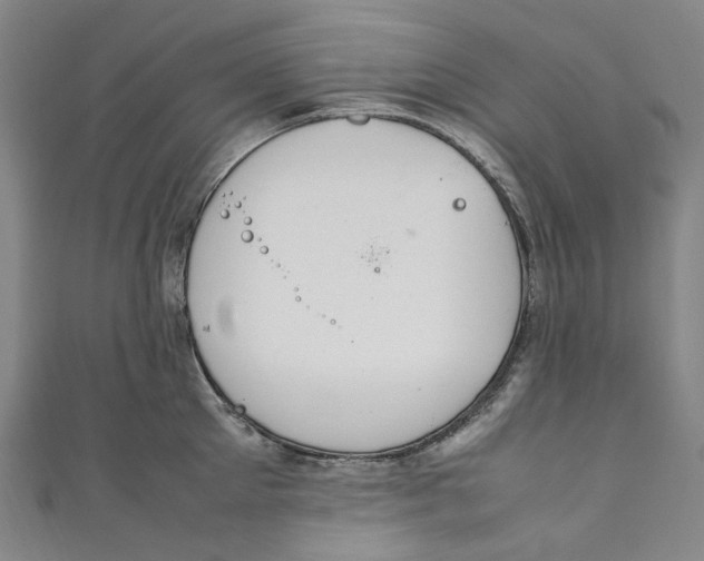 X0000111210905200907221149