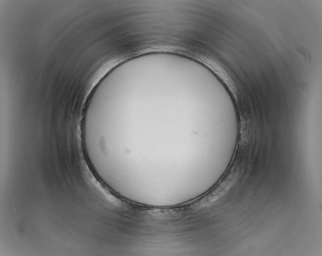 X0000111210906200907221149