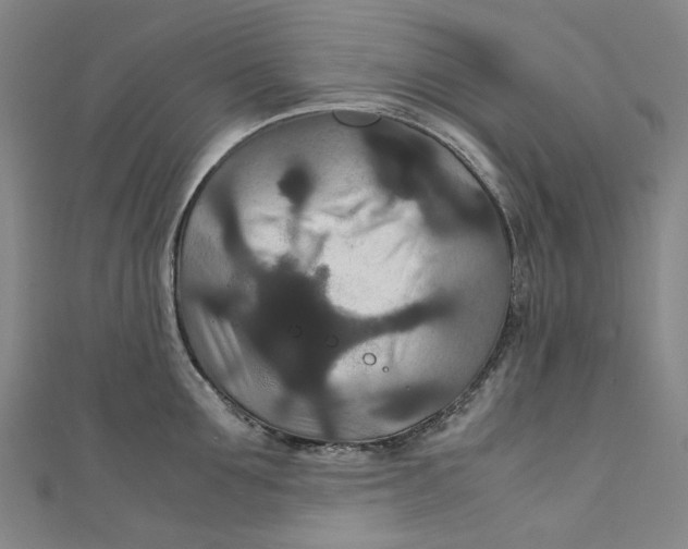 X0000111210907200907221149