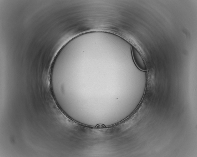 X0000111210908200907221149