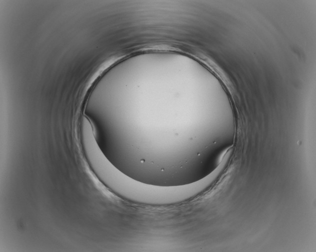 X0000111210909200907221149