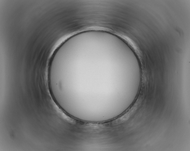 X0000111210910200907221149