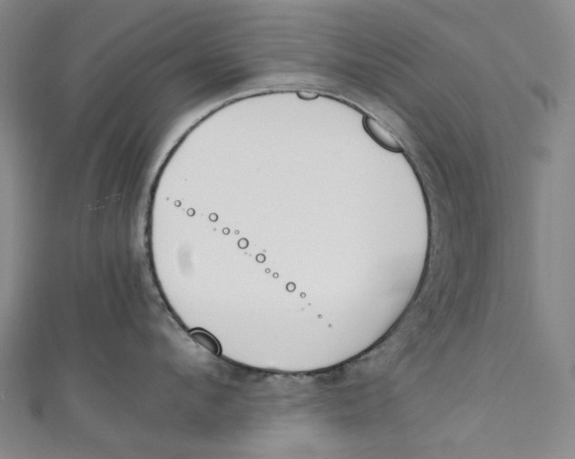 X0000111210912200907221148