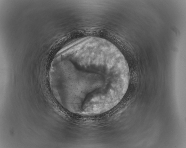 X0000111210913200907221148