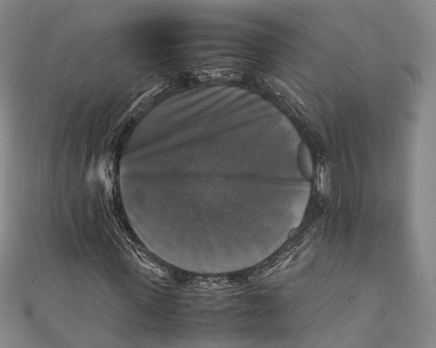 X0000111210915200907221148