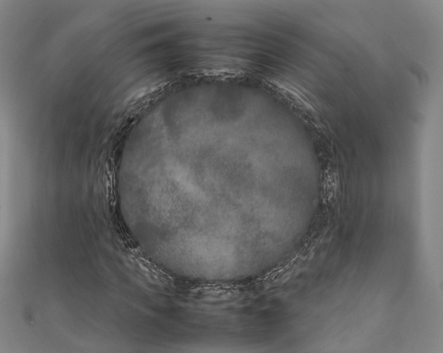 X0000111210917200907221148