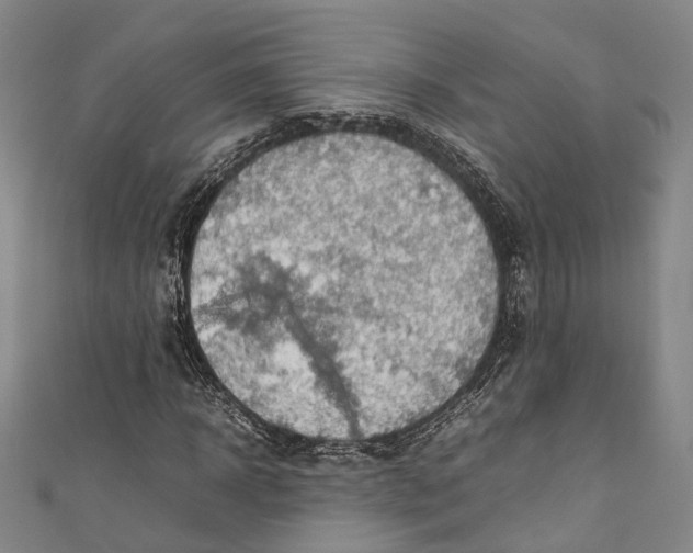 X0000111210918200907221148